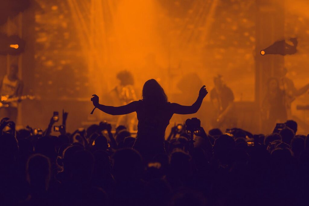 concert, crowd, silhouette-3084876.jpg